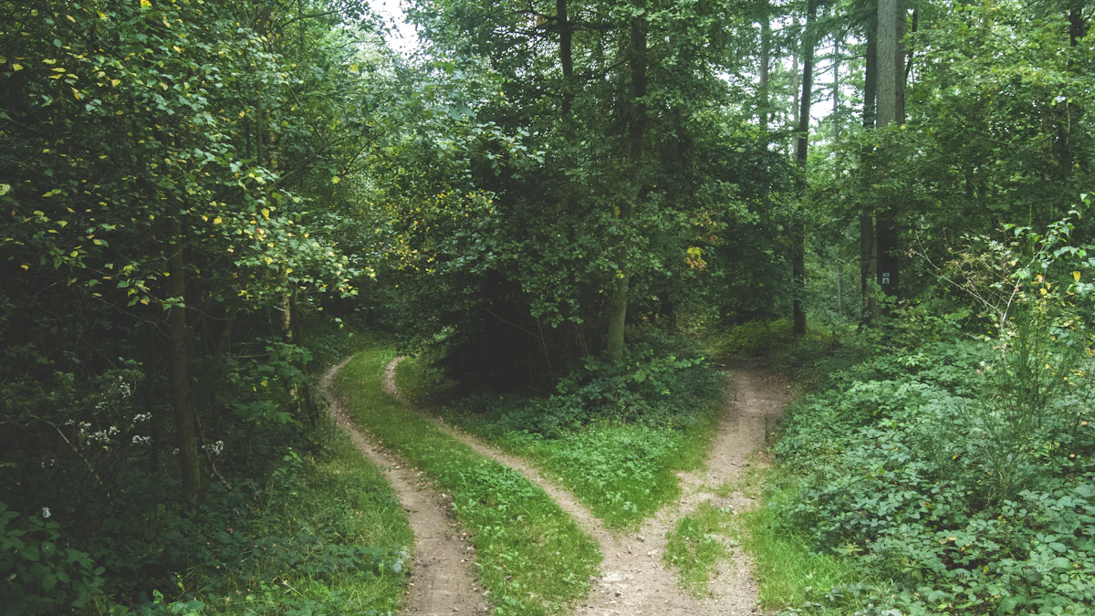 森の中で二手に分かれる道